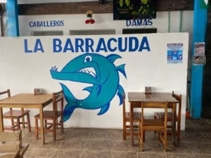 Marisquerías baratas en Playa del Carmen 2024
