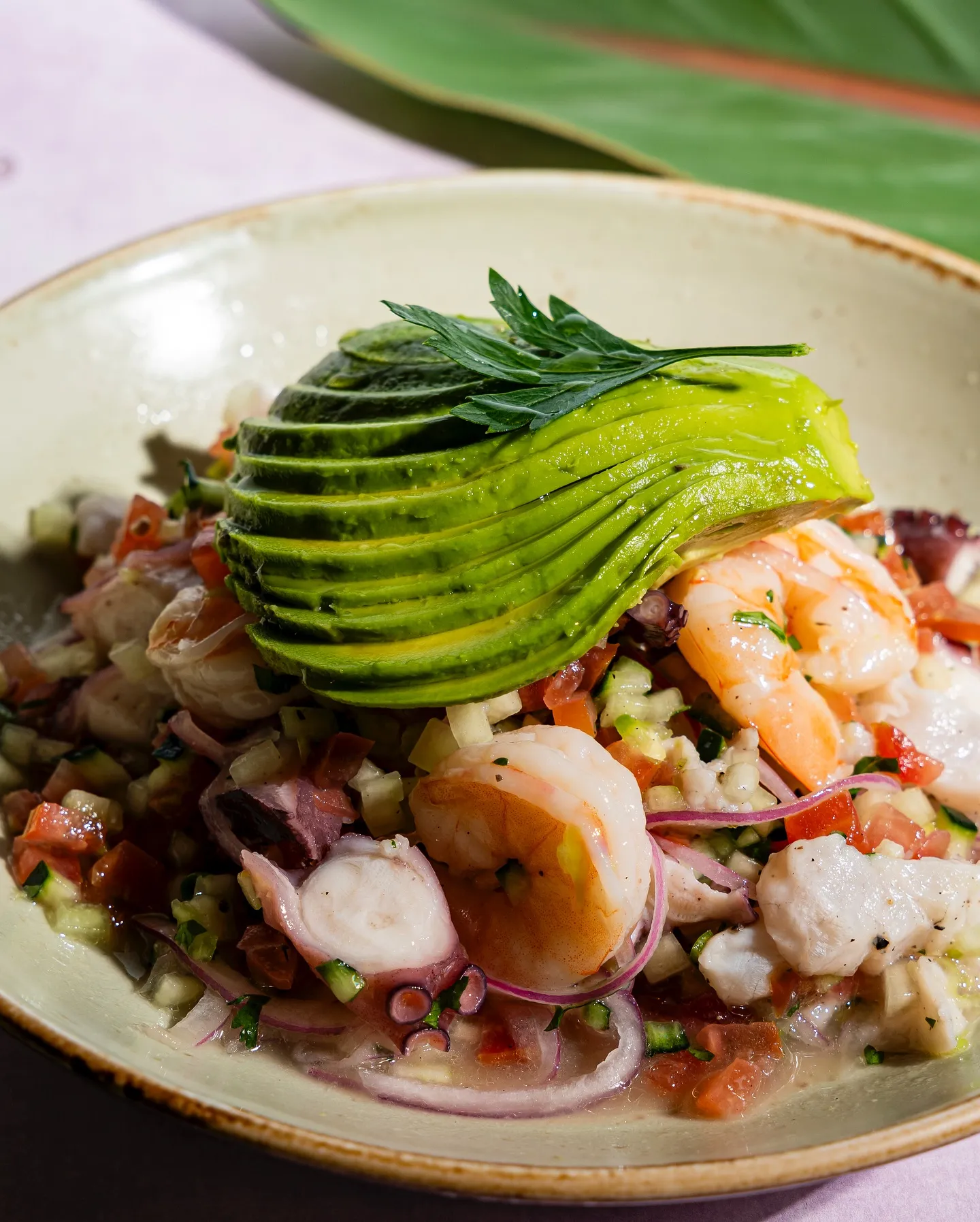 Ceviche de camarón con aguacate en el restaurante freds cancun