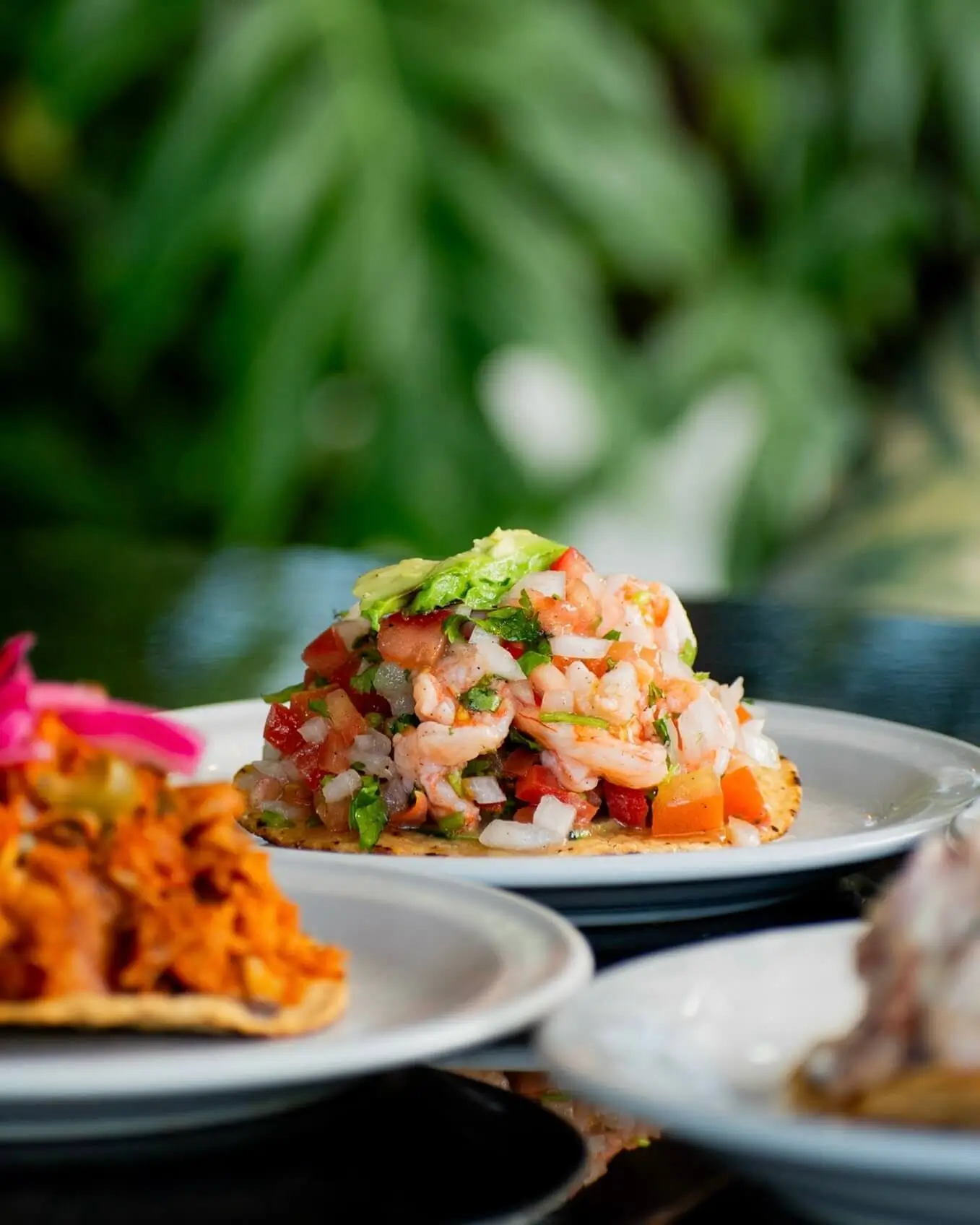 ceviche de marisco fresco en la casa de la mantarraya cancun