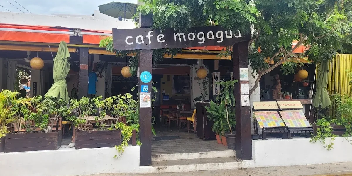 Café Mogagua