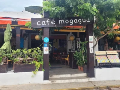 Café Mogagua
