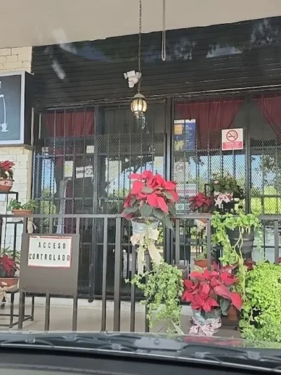 Cafe