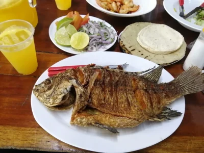 Las Mojarras de la Esquina