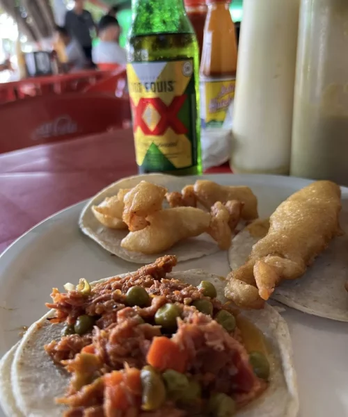 Tacos de pescado en los restaurantes de mariscos de playa del carmen