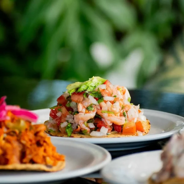 ceviche de marisco fresco en la casa de la mantarraya cancun
