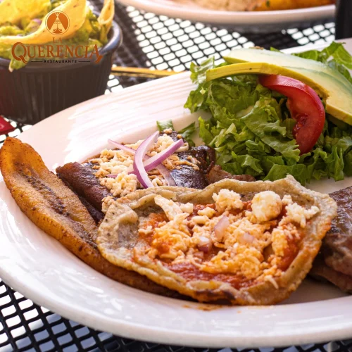 platillos tradicionales veracruzanos en orizaba