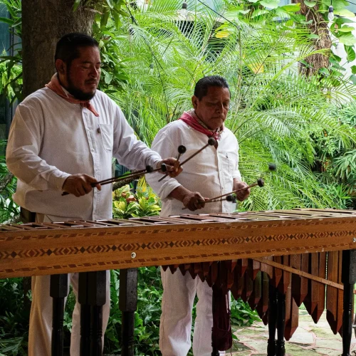 musica en vivo en el restaurante buffet el eden