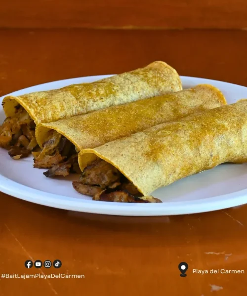 Tacos orientales comida a domicilio en playa del carmen